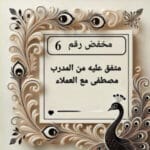 مخفض رقم 6