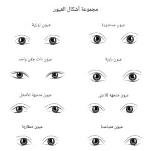 لغة العيون